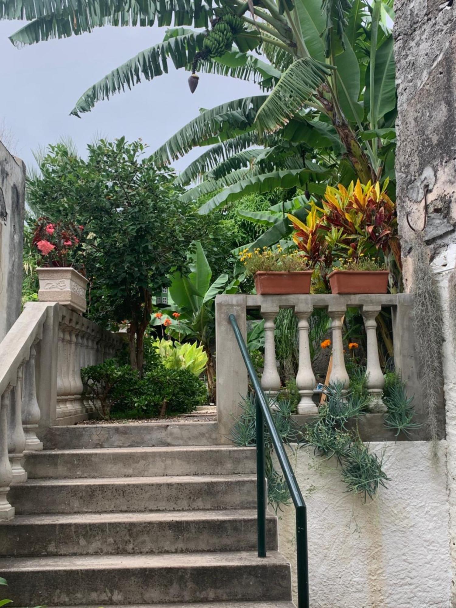 Vitorina Corte Guesthouse Funchal  Exterior foto